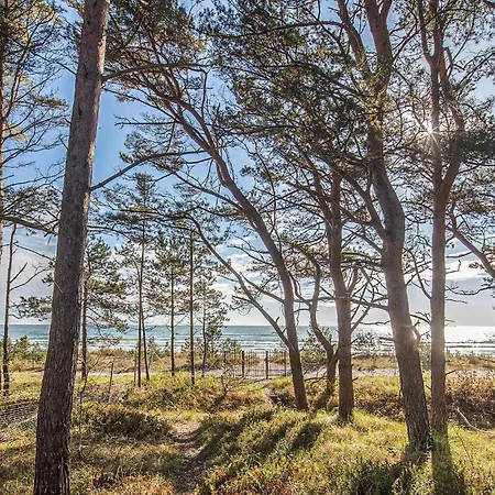 Prora Solitaire Avida Loft14 * 빈츠